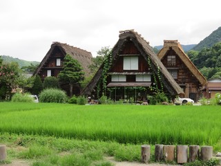 Fototapeta na wymiar casas japonesas