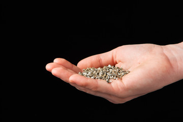 Vermiculite in the hands of a woman. Close up. Soil growing cannabis. A mixture of earth, perlite and vermiculite.