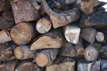 Rustic Wood Log Pile