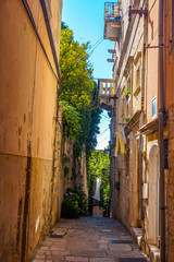 Fototapeta premium typical lane in a croatian village