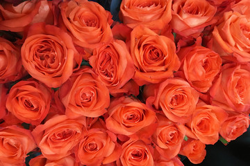 Bouquet of coral roses