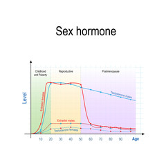 Sex hormones and ageing. Levels of Testosterone for males and females, and Estradiol for men and women - obrazy, fototapety, plakaty