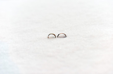 Wonderful luxury wedding decoration. Wedding rings. Wedding symbols, attributes.