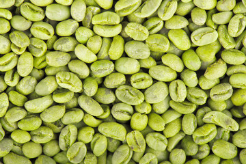 Green coffee beans background. Medium green peaberry coffee beans.
