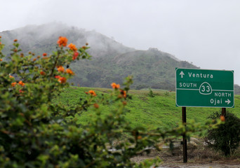 Natural Landscape in Ventura California after the rain