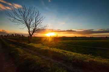 Schleswig Holstein Sonnenuntergang 