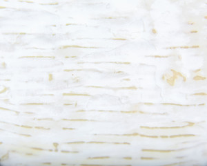 macro cheese camembert or brie close up texture - Milk production. top view image with copy space. Food background