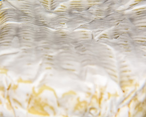 macro cheese camembert or brie close up texture - Milk production. top view image with copy space. Food background