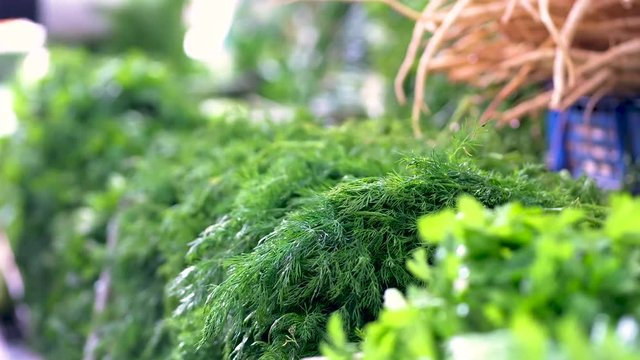 Fresh dill for sale.