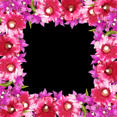 Beautiful floral background of bougainvillea and mallow 