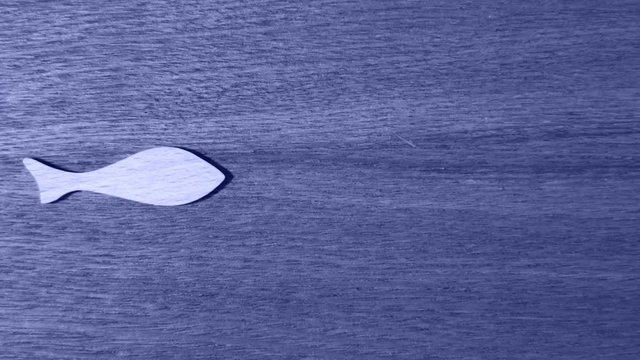 Fishes silhouette aquarium animation, stop motion