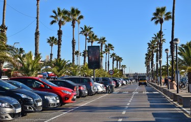 viale alberato con palme sul porto di Barcellona