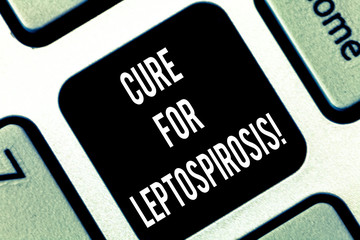 Conceptual hand writing showing Cure For Leptospirosis. Business photo showcasing Treating the contagious disease by taking antibiotics Keyboard key Intention to create computer message idea