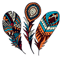 Set of colorful hand drawn Ethnic feathers. Ornate doodle quills. Vintage decorative elements