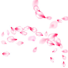 Japanese cherry blossom pink flying petals