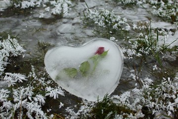 Herz aus Eis mit einer Rose auf gefrorenem Wasser