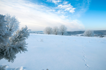 beautiful winter landscapes in the valleys