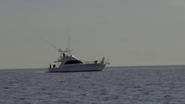 Fishing in the Sea of Cortez near Guaymas Mexico as a dolphin breaches on the bow. Slow motion footage smooth taken on gimbaled camera.