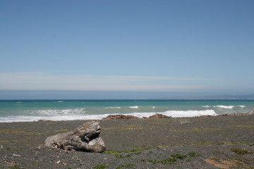 Beach Napier Neuseeland