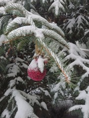 christmas tree with snow