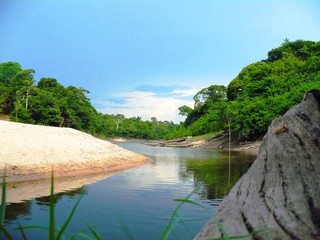 river in the forest