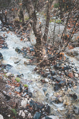 Stream in the mountains.