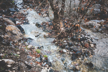 Stream in the mountains.
