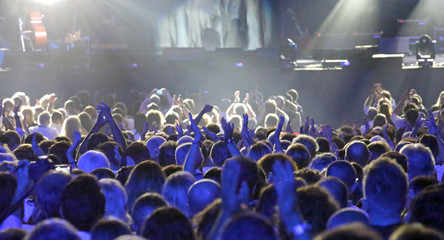 heads of people at stadium at live concert
