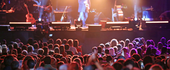 concert with many people and the rock band on the stage