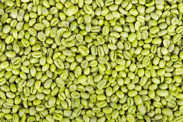 Green coffee beans background. Medium green peaberry coffee beans.