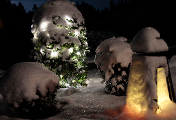 lamps in the moon light night