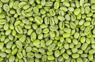 Green coffee beans background. Medium green peaberry coffee beans.