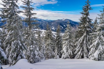 Fantastic winter landscape. colorful sky glowing by sunlight.