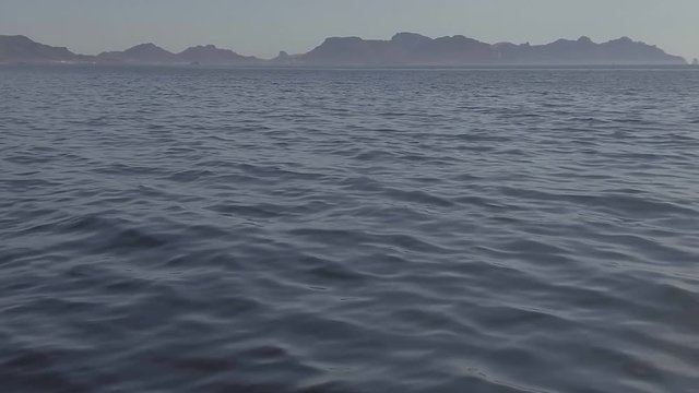 Slow motion footage of rare dolphin playing near boat in Sea of Cortez.