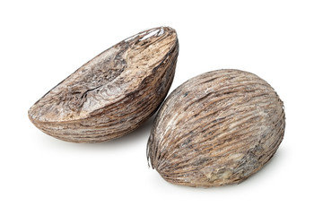 Dried coconut on white background.