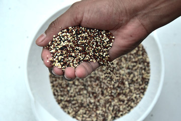 Cupped hand with three colors quinoa