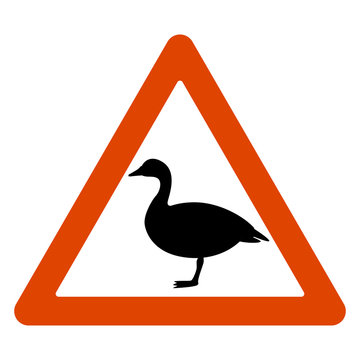 recommend clip art: road sign,   goose  crossing the road, vector