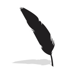Vector feather silhouette isolated on white background. Feather of bird.