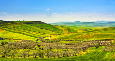 Apulia countryside view olive trees and rolling hills landscape. Poggiorsini, Italy