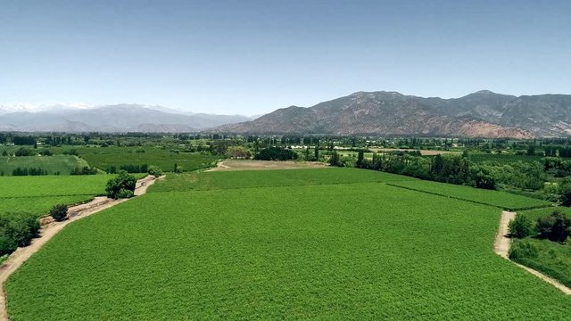 60 fps drone footage of a nice chilean valey landscape full of vineyard
