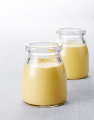 Fresh milk eggs pudding