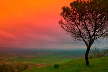 Obraz na płótnie Canvas Valley view and elegant pine tree, colored sky