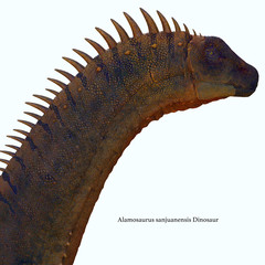 Alamosaurus Dinosaur Head with Font -Alamosaurus was a titanosaur sauropod herbivorous dinosaur that lived in North America during the Cretaceous Period.  © Catmando