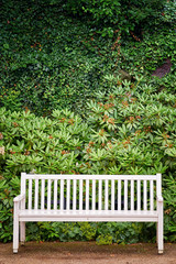 White park bench in front of green plants background.