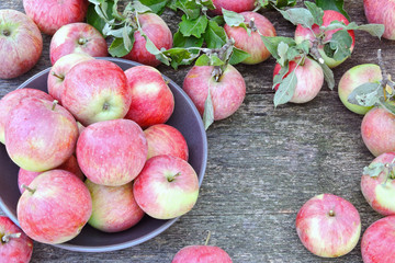 Fresh juicy pink apples on a wooden surface. Apple harvest. Apples, just plucked from the tree.