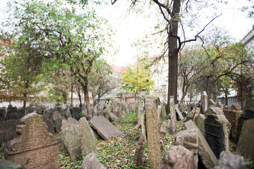 Gravestone at the jewish cemetery