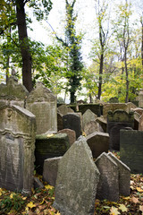 Gravestone at the jewish cemetery