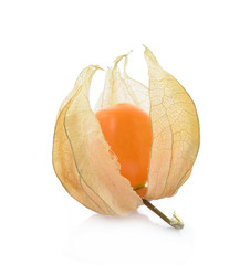 Cape gooseberry (physalis) isolated on white background