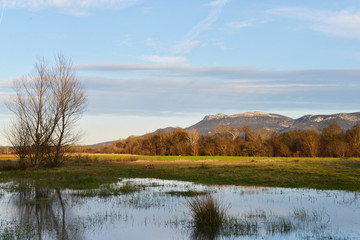 Mont Aurélien Provence 2