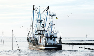 Krabbenkutter auf dem Weg zu den Fanggründen in der Nordsee, Küstenfischerei an der Nordseeküste 